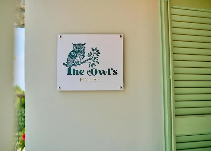 The Owl\'S House