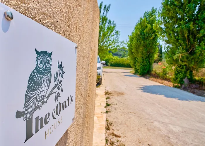 The Owl\'S House